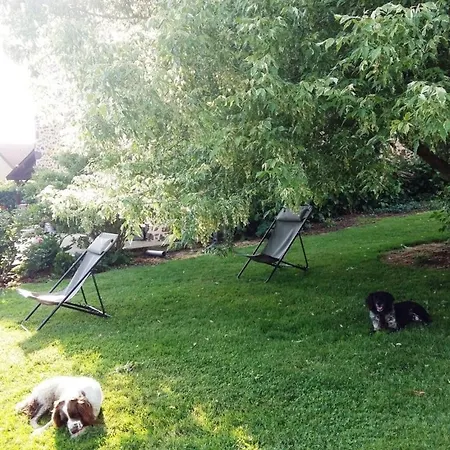 Maison De Dans Grand Jardin Arbore A La Chapelle-saint-fray Proche Le Mans Sarthe, Pays-de-la-loire Feriehus *