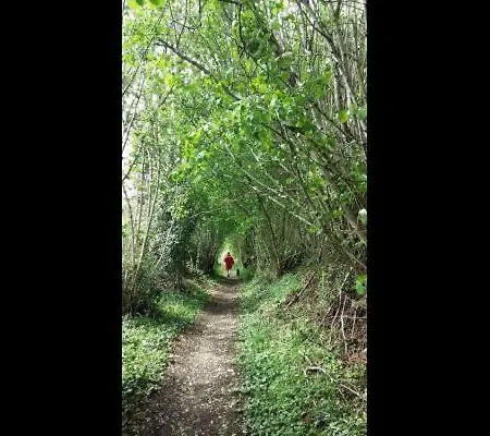 Maison De Dans Grand Jardin Arbore A La Chapelle-saint-fray Proche Le Mans Sarthe, Pays-de-la-loire Feriehus