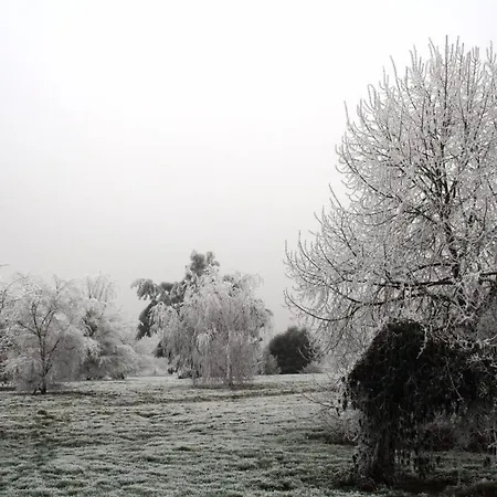 Maison De Dans Grand Jardin Arbore A La Chapelle-saint-fray Proche Le Mans Sarthe, Pays-de-la-loire Domfront-en-Champagne