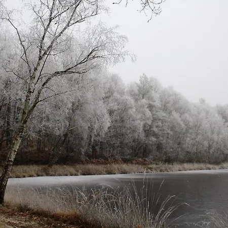 Maison De Dans Grand Jardin Arbore A La Chapelle-saint-fray Proche Le Mans Sarthe, Pays-de-la-loire Feriehus Domfront-en-Champagne