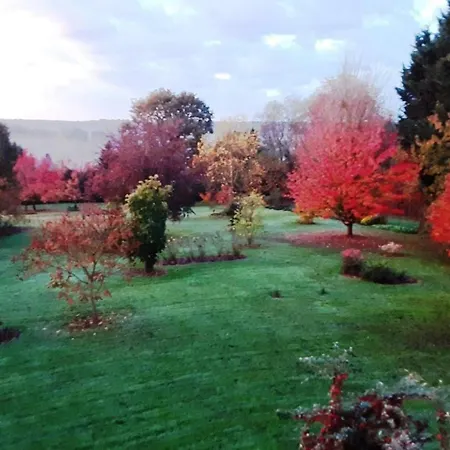 Maison De Dans Grand Jardin Arbore A La Chapelle-saint-fray Proche Le Mans Sarthe, Pays-de-la-loire