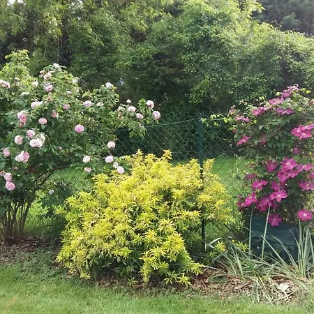 Maison De Dans Grand Jardin Arbore A La Chapelle-saint-fray Proche Le Mans Sarthe, Pays-de-la-loire * Domfront-en-Champagne