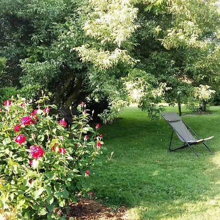 Tatil Evi Maison De Dans Grand Jardin Arbore A Proche Le Mans Sarthe, Pays-de-la-loire La Chapelle-Saint-Fray