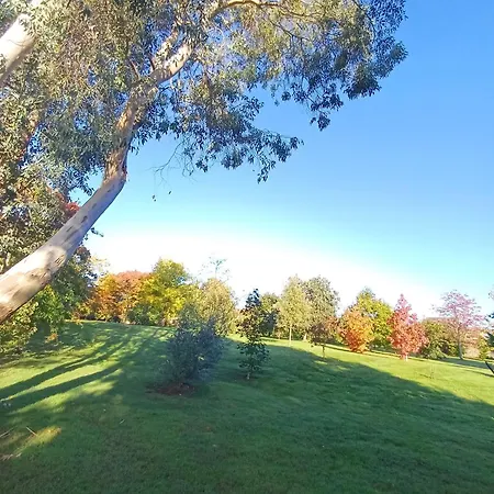 Maison De Dans Grand Jardin Arbore A La Chapelle-saint-fray Proche Le Mans Sarthe, Pays-de-la-loire Semesterbostad