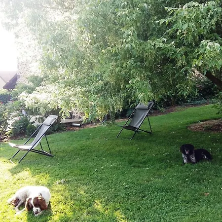 Maison De Dans Grand Jardin Arbore A La Chapelle-saint-fray Proche Le Mans Sarthe, Pays-de-la-loire *