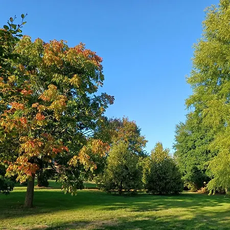 Tatil Evi Maison De Dans Grand Jardin Arbore A Proche Le Mans Sarthe, Pays-de-la-loire *