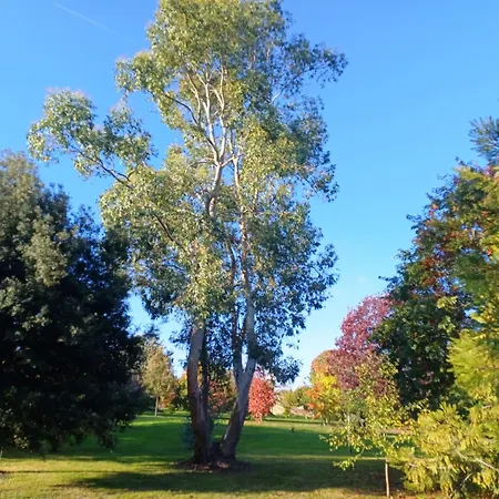 Tatil Evi Maison De Dans Grand Jardin Arbore A Proche Le Mans Sarthe, Pays-de-la-loire La Chapelle-Saint-Fray