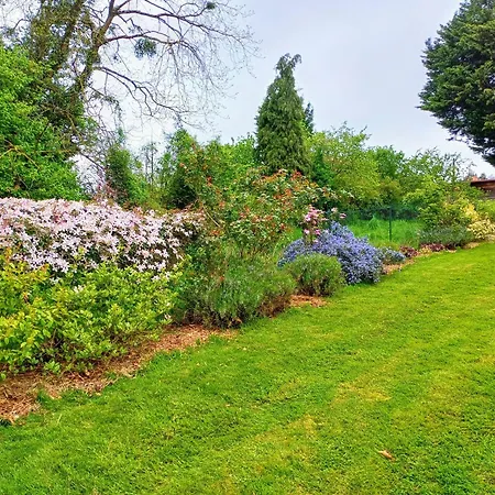 Maison De Dans Grand Jardin Arbore A Proche Le Mans Sarthe, Pays-de-la-loire *