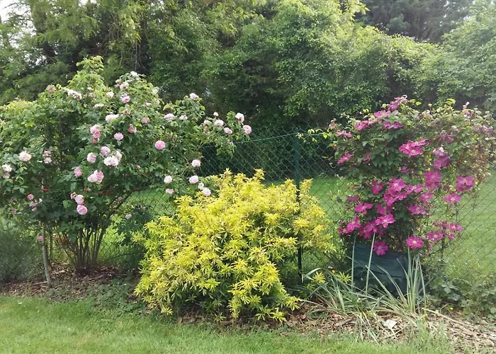 Maison De Dans Grand Jardin Arbore A Proche Le Mans Sarthe, Pays-de-la-loire * La Chapelle-Saint-Fray
