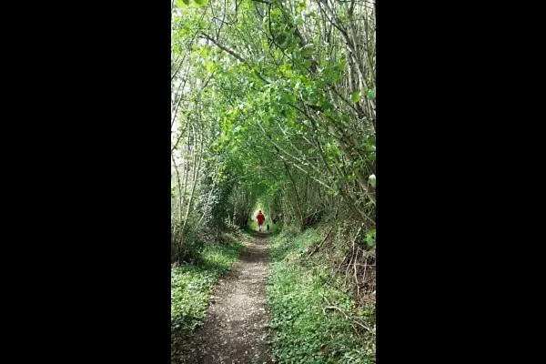 Maison De Dans Grand Jardin Arbore A Proche Le Mans Sarthe, Pays-de-la-loire Dom wakacyjny