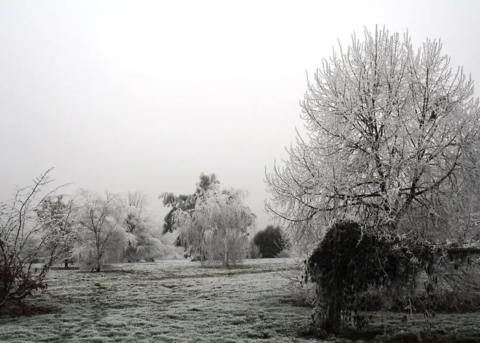 Maison De Dans Grand Jardin Arbore A Proche Le Mans Sarthe, Pays-de-la-loire La Chapelle-Saint-Fray