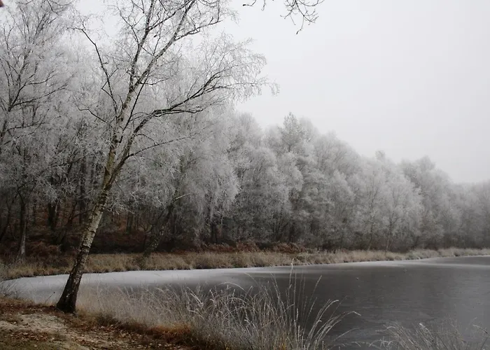 Maison De Dans Grand Jardin Arbore A Proche Le Mans Sarthe, Pays-de-la-loire Dom wakacyjny La Chapelle-Saint-Fray