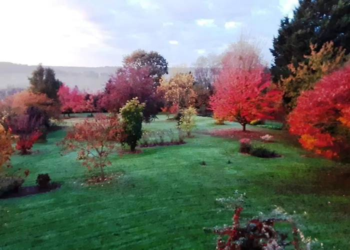 Maison De Dans Grand Jardin Arbore A Proche Le Mans Sarthe, Pays-de-la-loire
