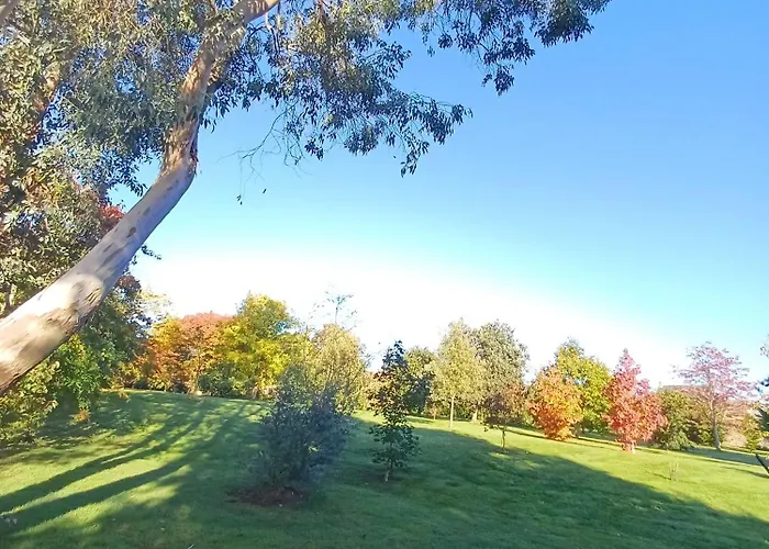 Maison De Dans Grand Jardin Arbore A Proche Le Mans Sarthe, Pays-de-la-loire Dom wakacyjny