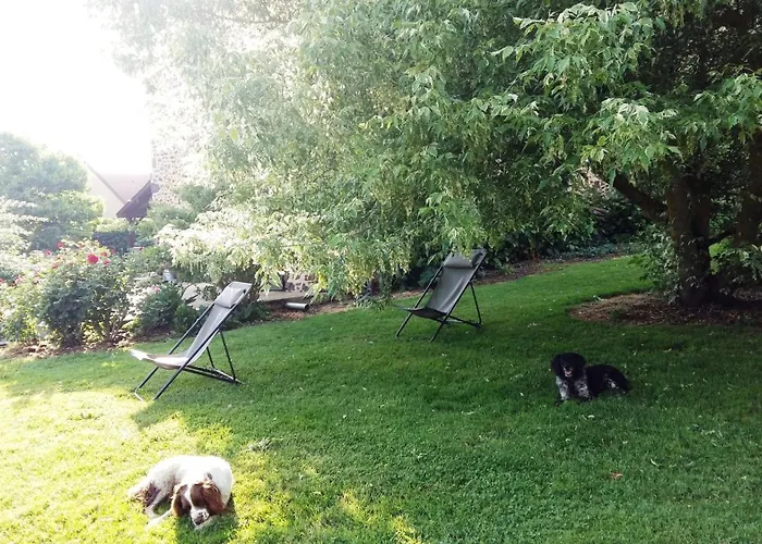 Maison De Dans Grand Jardin Arbore A Proche Le Mans Sarthe, Pays-de-la-loire *